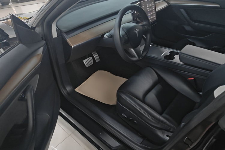 Tesla Model 3 2020 car image #15