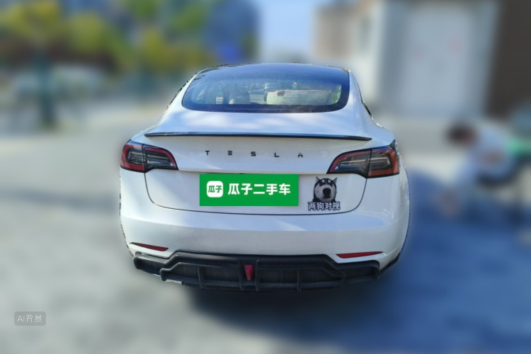 Tesla Model 3 2022 immagine di auto #6