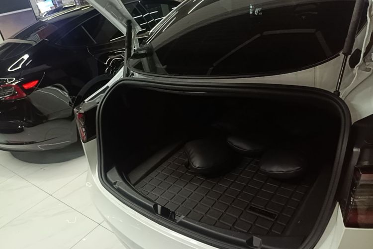 Tesla Model 3 2021 immagine di auto #19