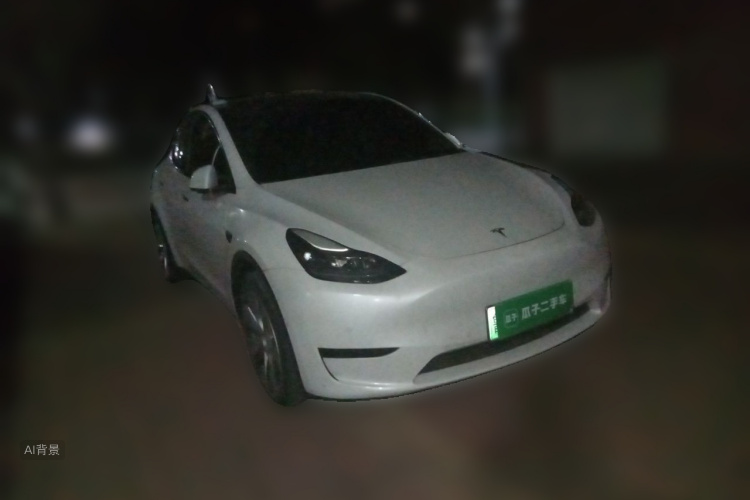 Tesla Model Y 2023 car image #4