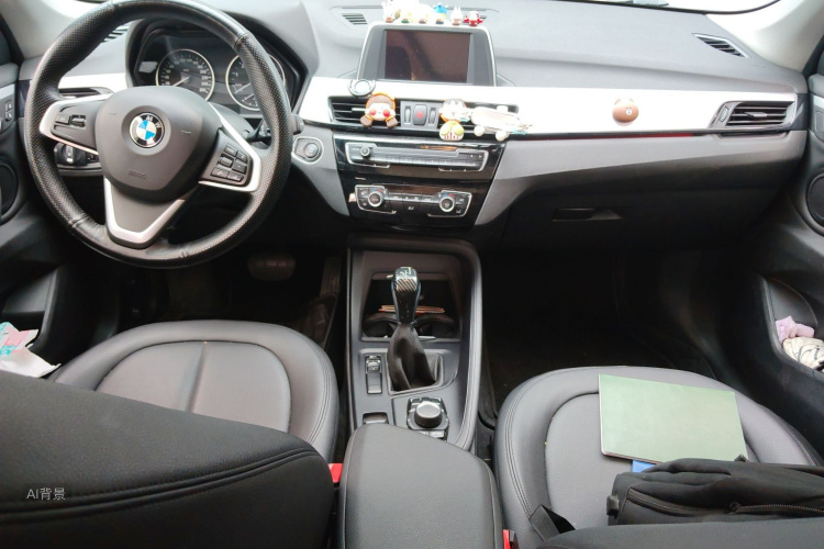 BMW X1 2018 car image #11