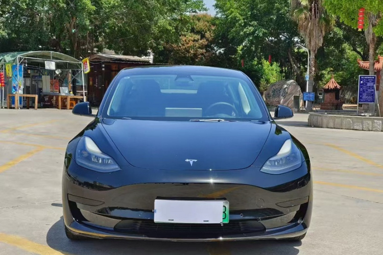 Tesla Model 3 2021 #9 Tesla Model 3 2021 car image #9