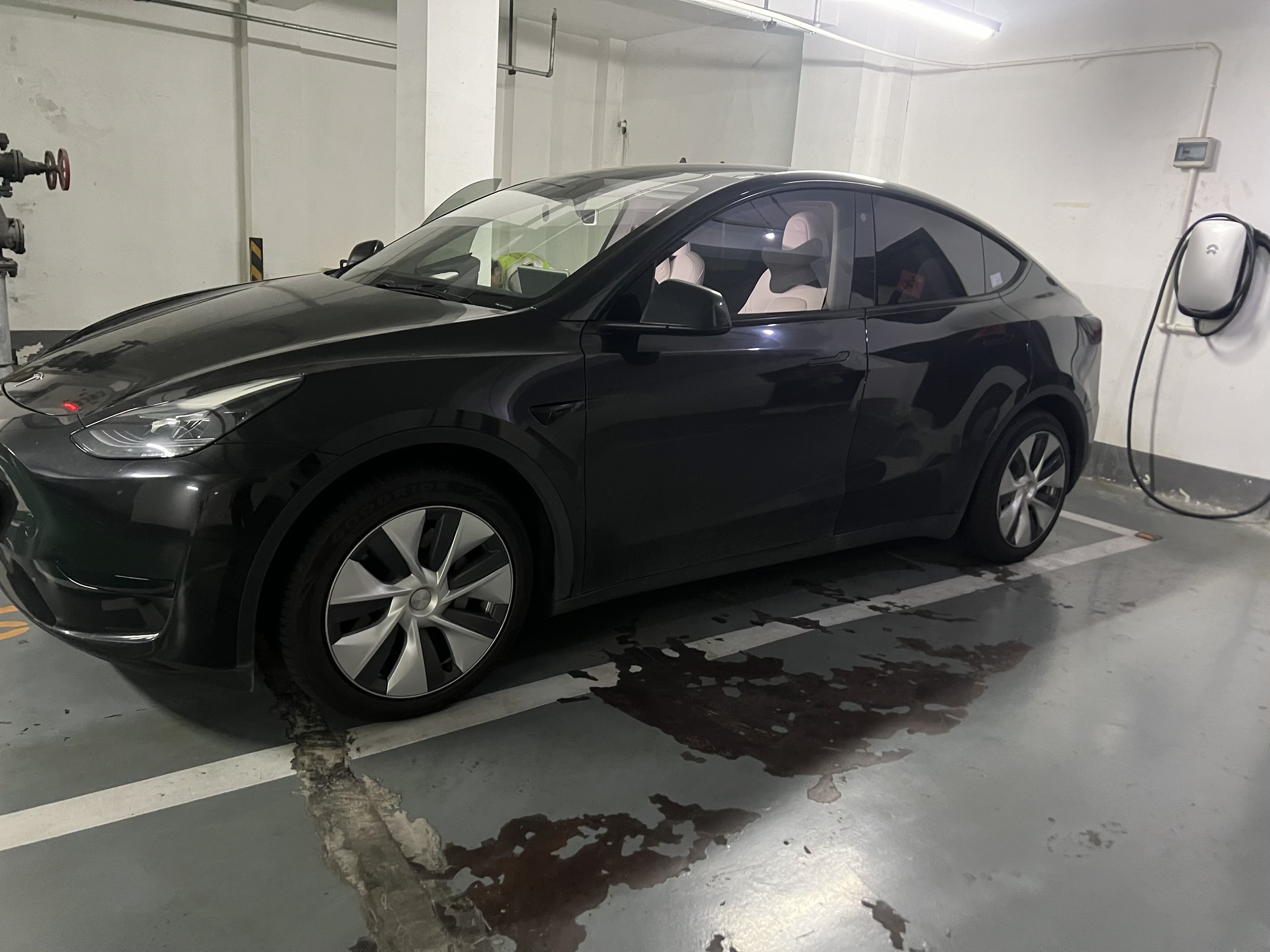 Tesla Model Y 2023 #4 Tesla Model Y 2023 car image #4