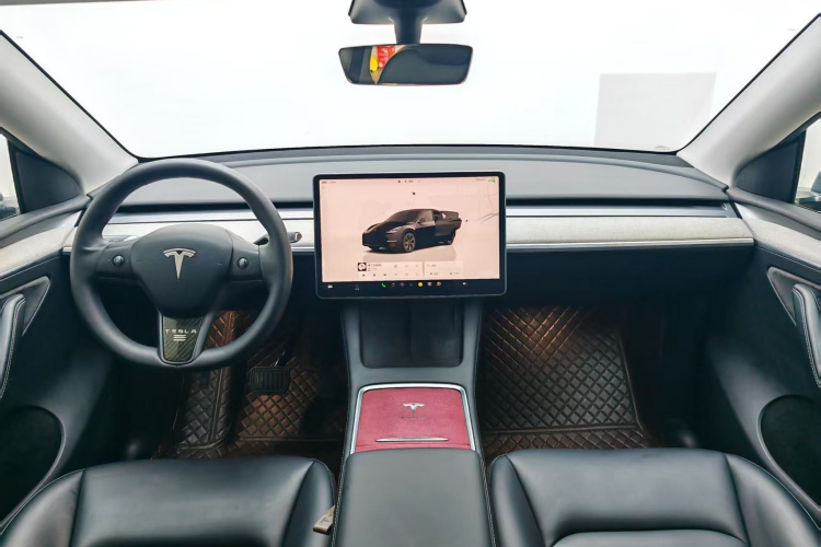 Tesla Model Y 2024 car image #10