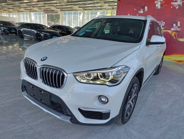 BMW X1 2019 BMW X1 2019 car image