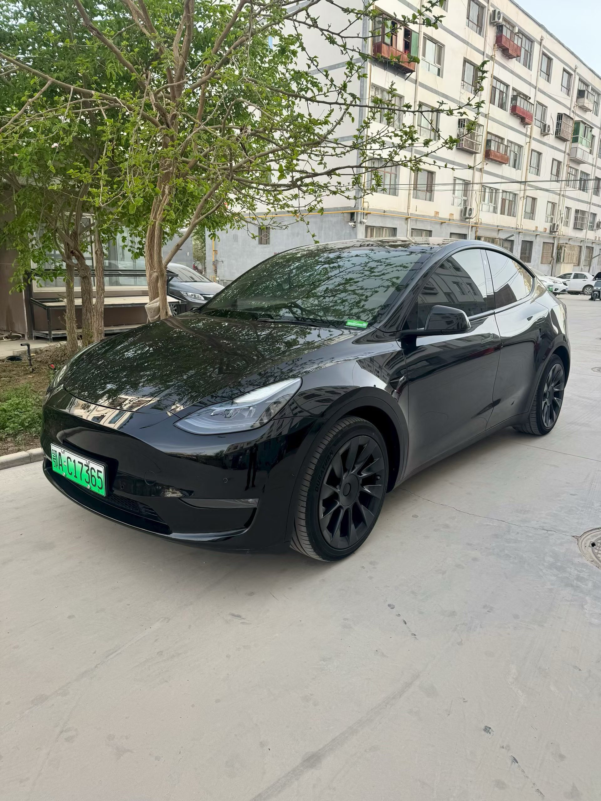 Tesla Model Y 2022 Tesla Model Y 2022 car image
