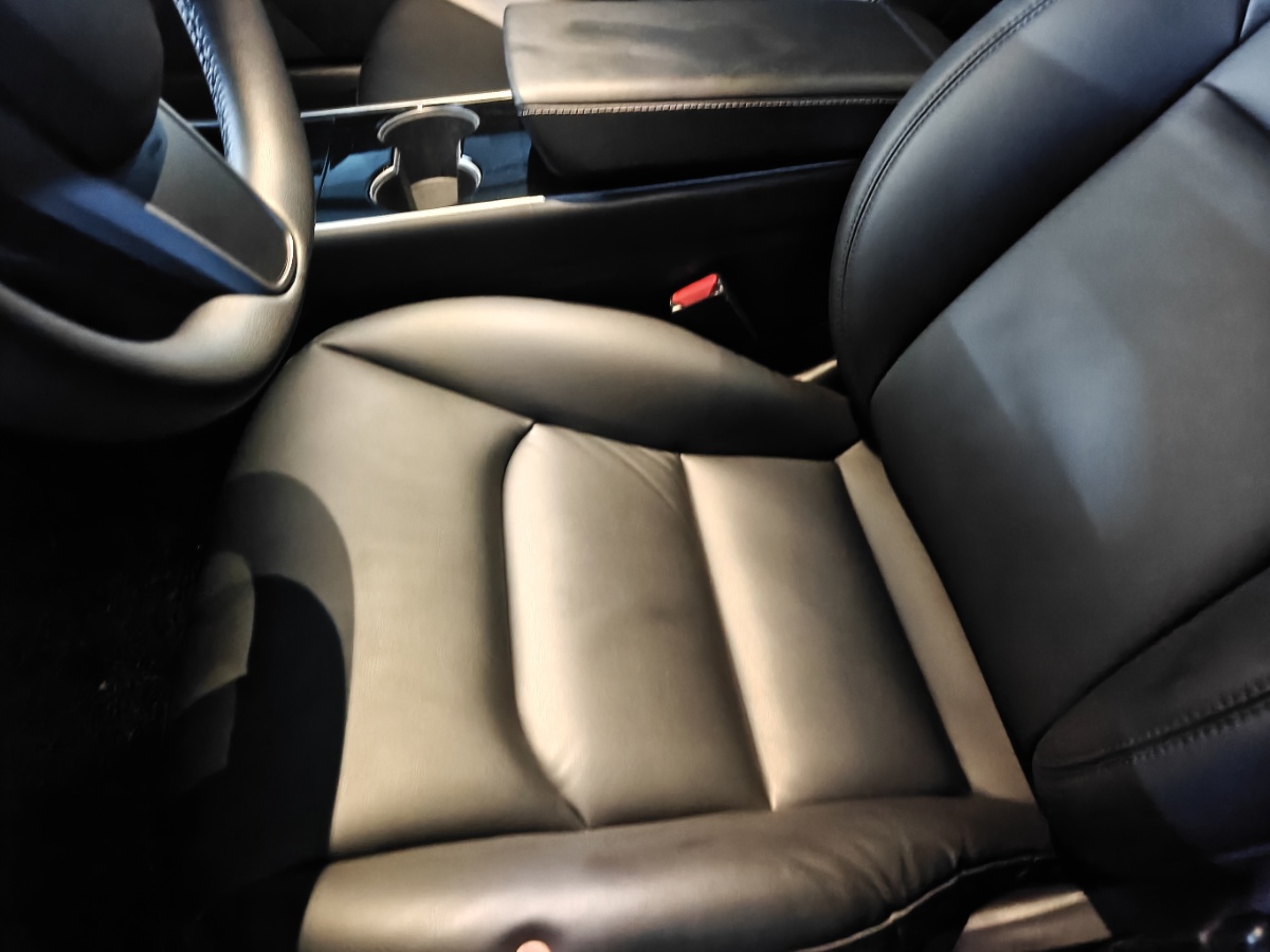 Tesla Model 3 2020 #9 Tesla Model 3 2020 car image #9