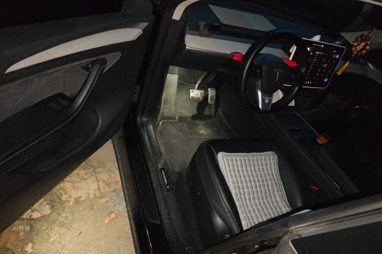 Tesla Model Y 2023 #18 Tesla Model Y 2023 car image #18