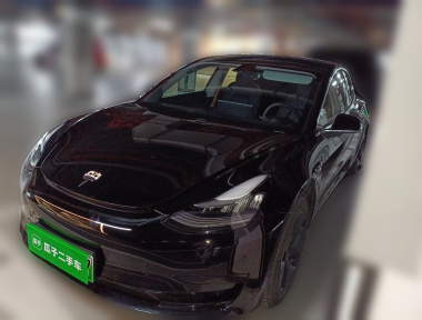 Tesla Model 3 2020 car image 