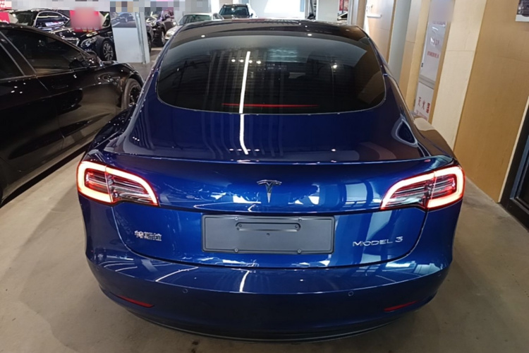 Tesla Model 3 2021 #6 Tesla Model 3 2021 car image #6