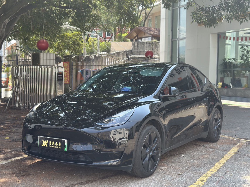 Tesla Model Y 2023 car image 