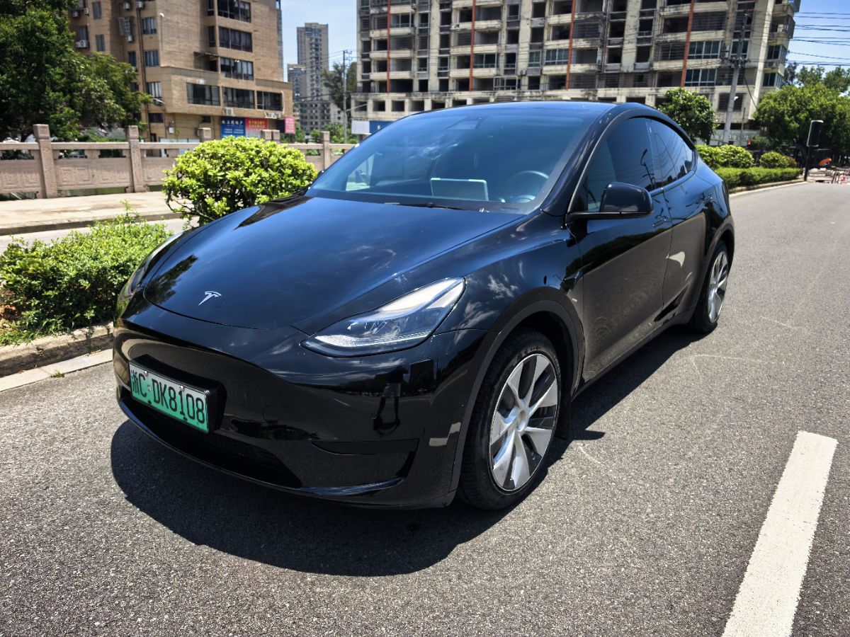 Tesla Model Y 2022 Tesla Model Y 2022 car image