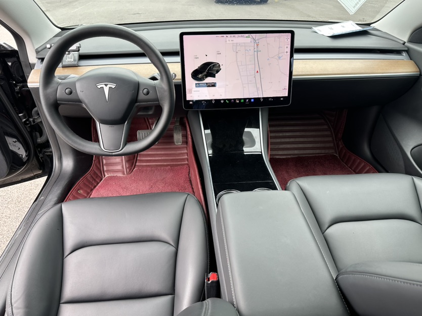 Tesla Model 3 2021 #5 Tesla Model 3 2021 car image #5