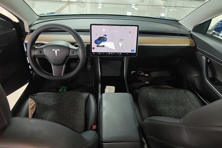 Tesla Model 3 2020 car image #10