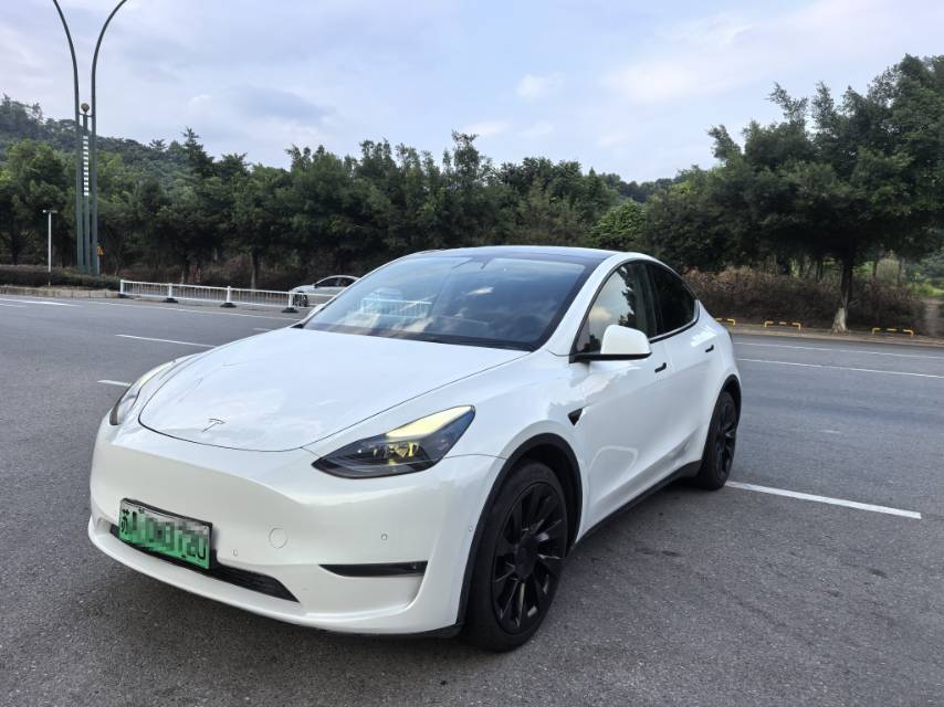 Tesla Model Y 2021 car image 