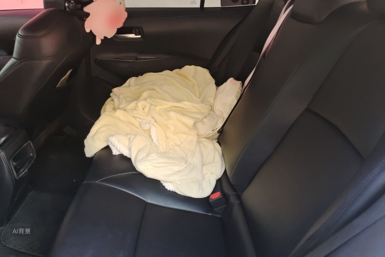 Toyota Corolla 2022 car image #19