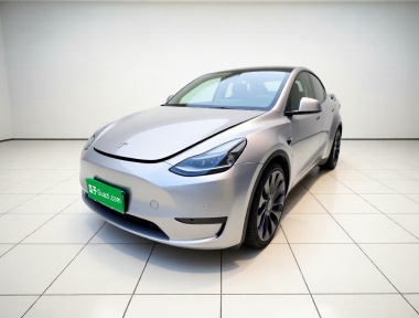 Tesla Model Y 2023 Tesla Model Y 2023 car image