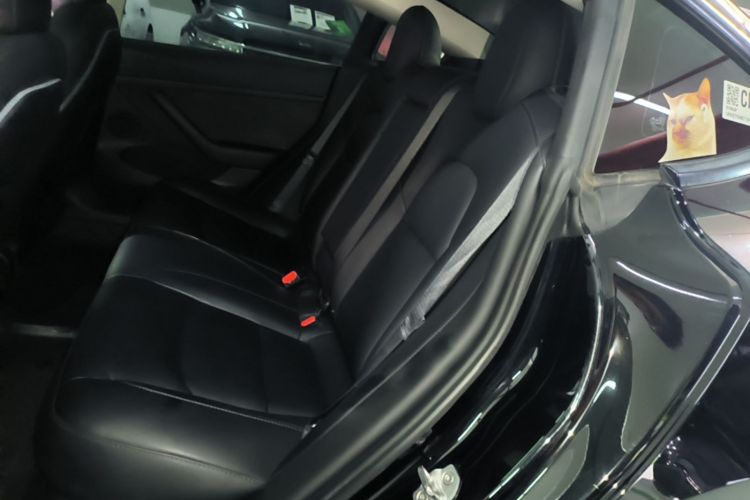 Tesla Model 3 2022 #17 Tesla Model 3 2022 car image #17
