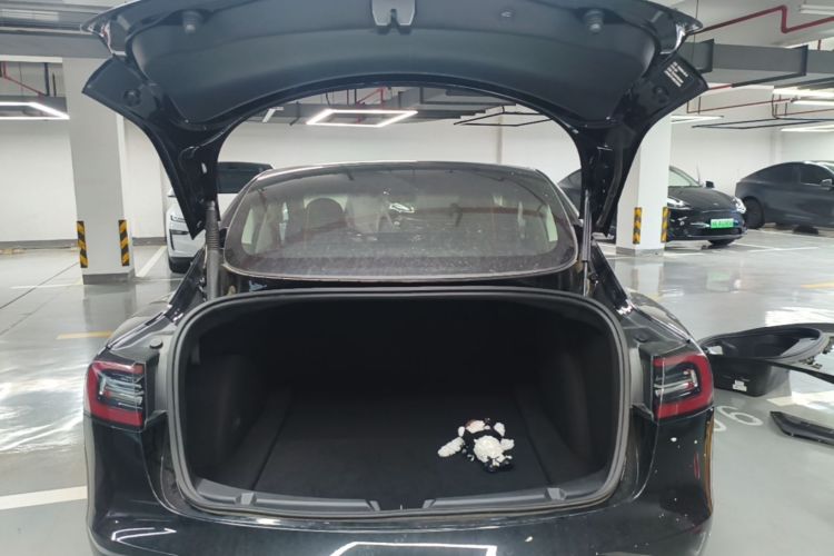 Tesla Model 3 2021 #19 Tesla Model 3 2021 car image #19