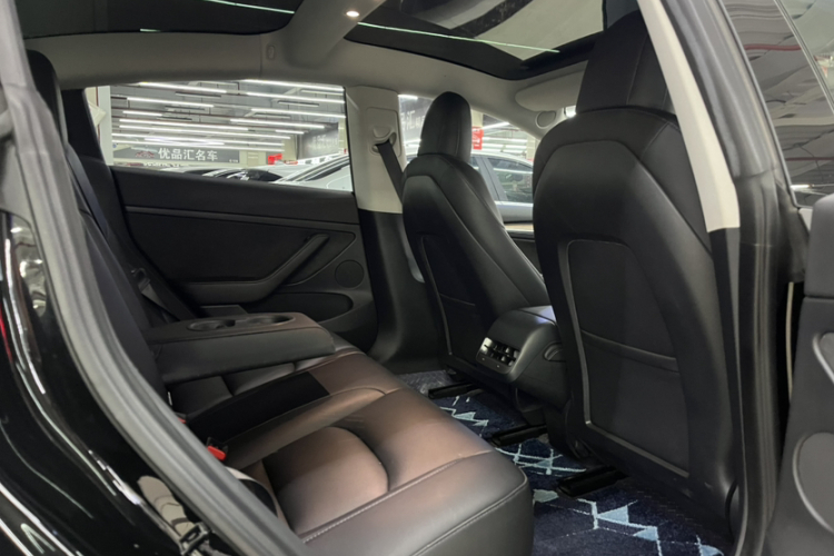 Tesla Model 3 2021 car image #30
