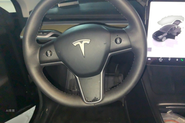 Tesla Model Y 2023 car image #12