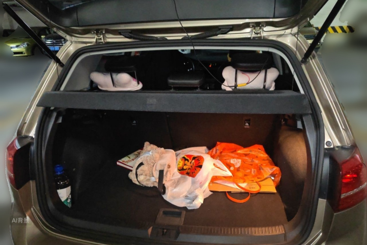 Volkswagen Golf 2016 car image #21