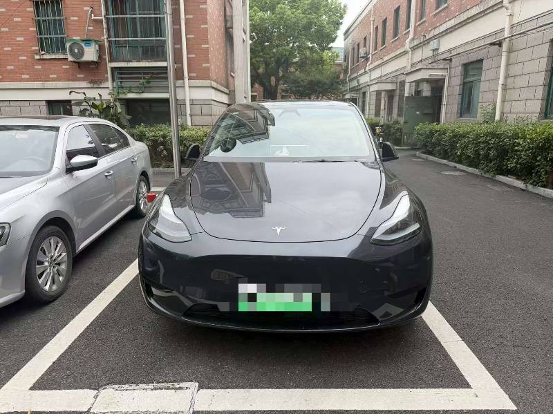 Tesla Model Y 2024 car image 