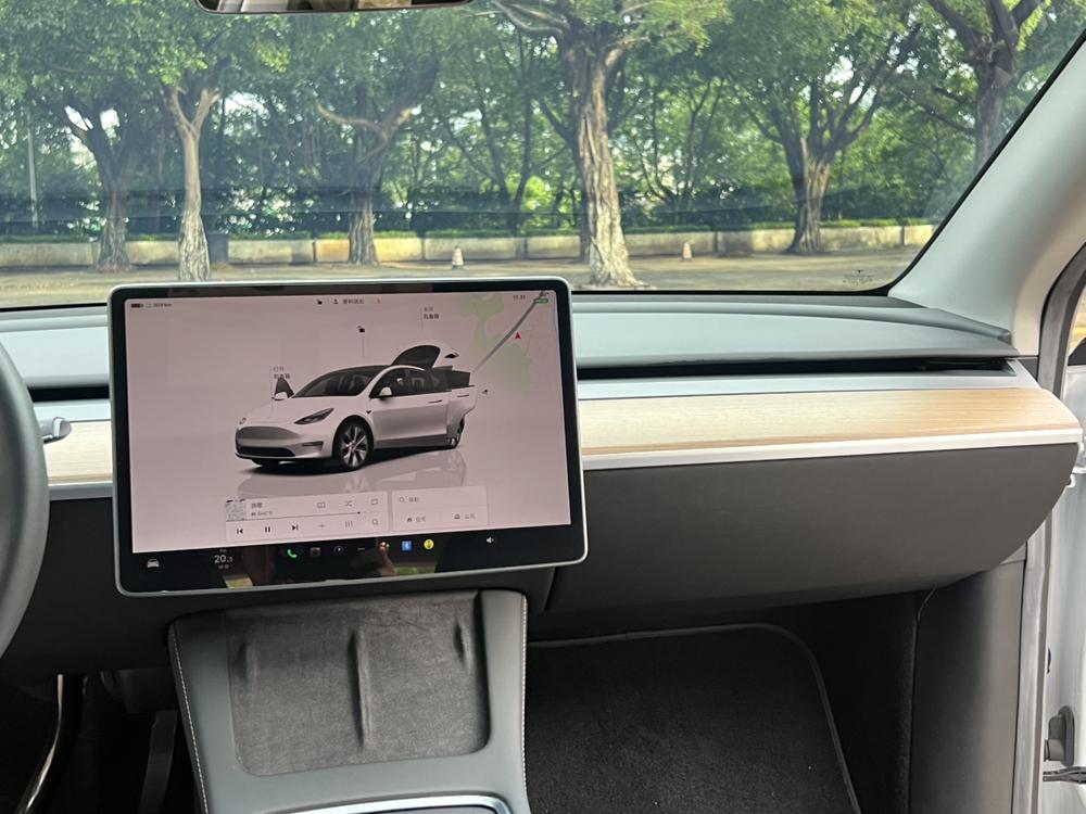 Tesla Model Y 2022 car image #11