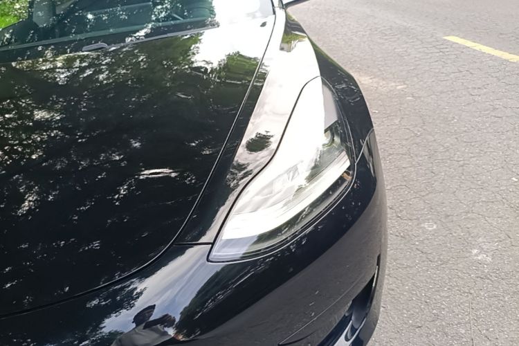 Tesla Model 3 2021 #23 Tesla Model 3 2021 car image #23