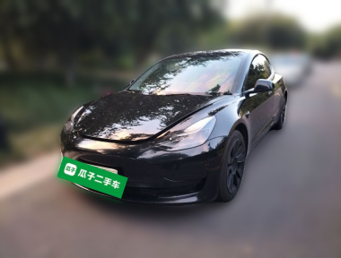Tesla Model 3 2021 Tesla Model 3 2021 car image