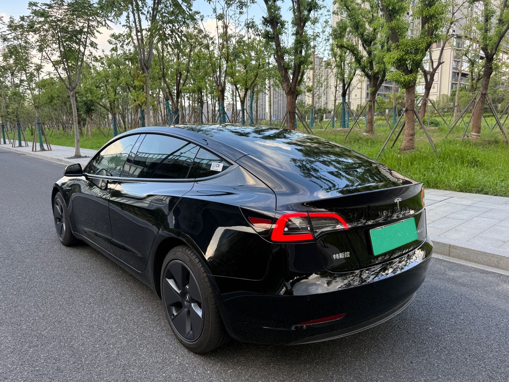 Tesla Model 3 2022 car image #4
