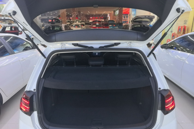 Volkswagen Golf 2018 car image #19