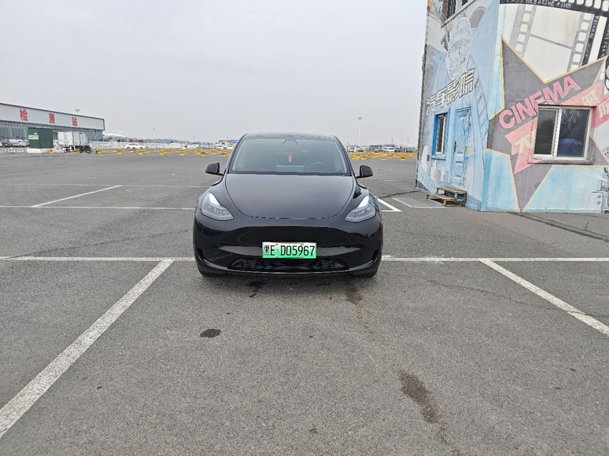Tesla Model Y 2023 Tesla Model Y 2023 car image