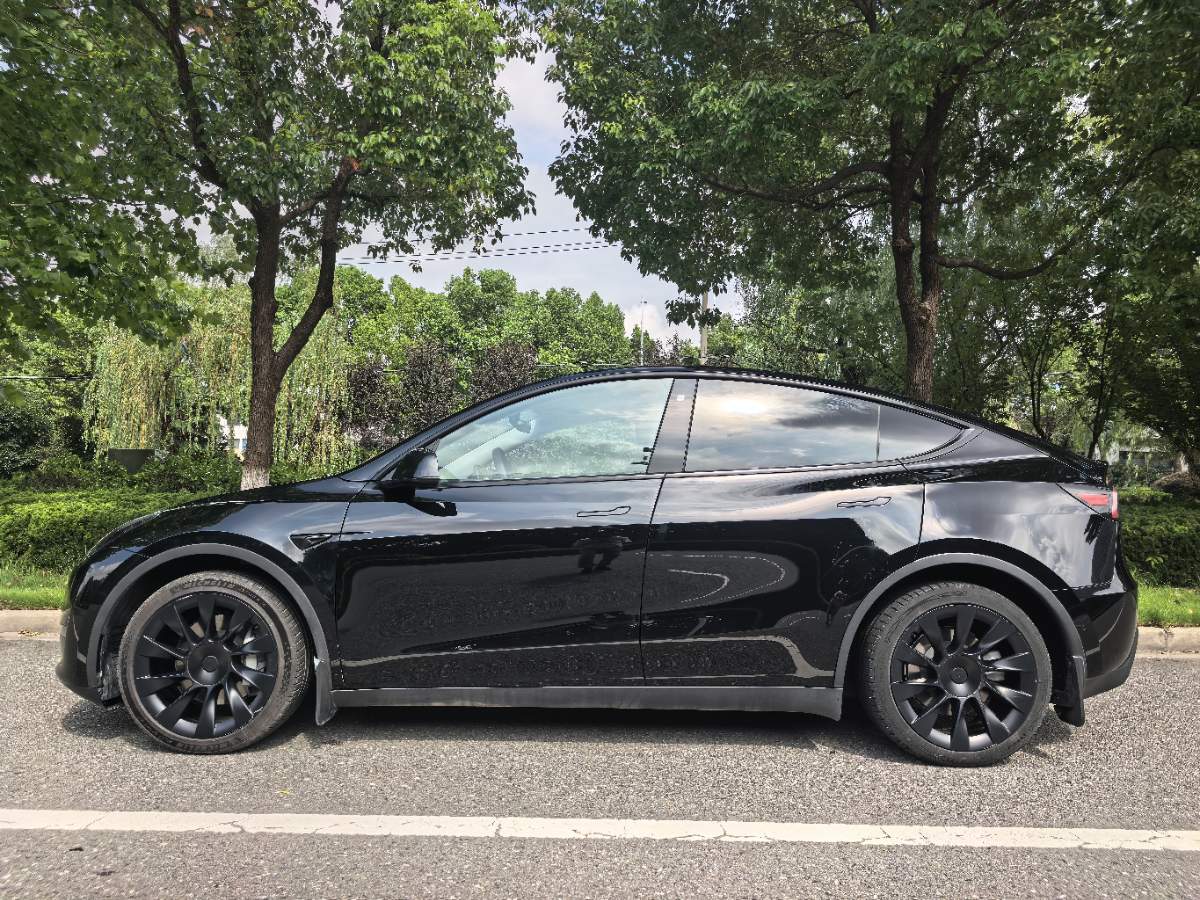 Tesla Model Y 2021 #8 Tesla Model Y 2021 car image #8