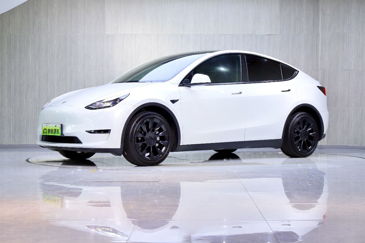 Tesla Model Y 2021 Tesla Model Y 2021 изображение автомобиля
