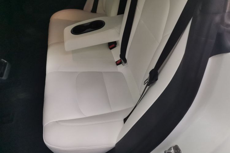 Tesla Model 3 2020 car image #14