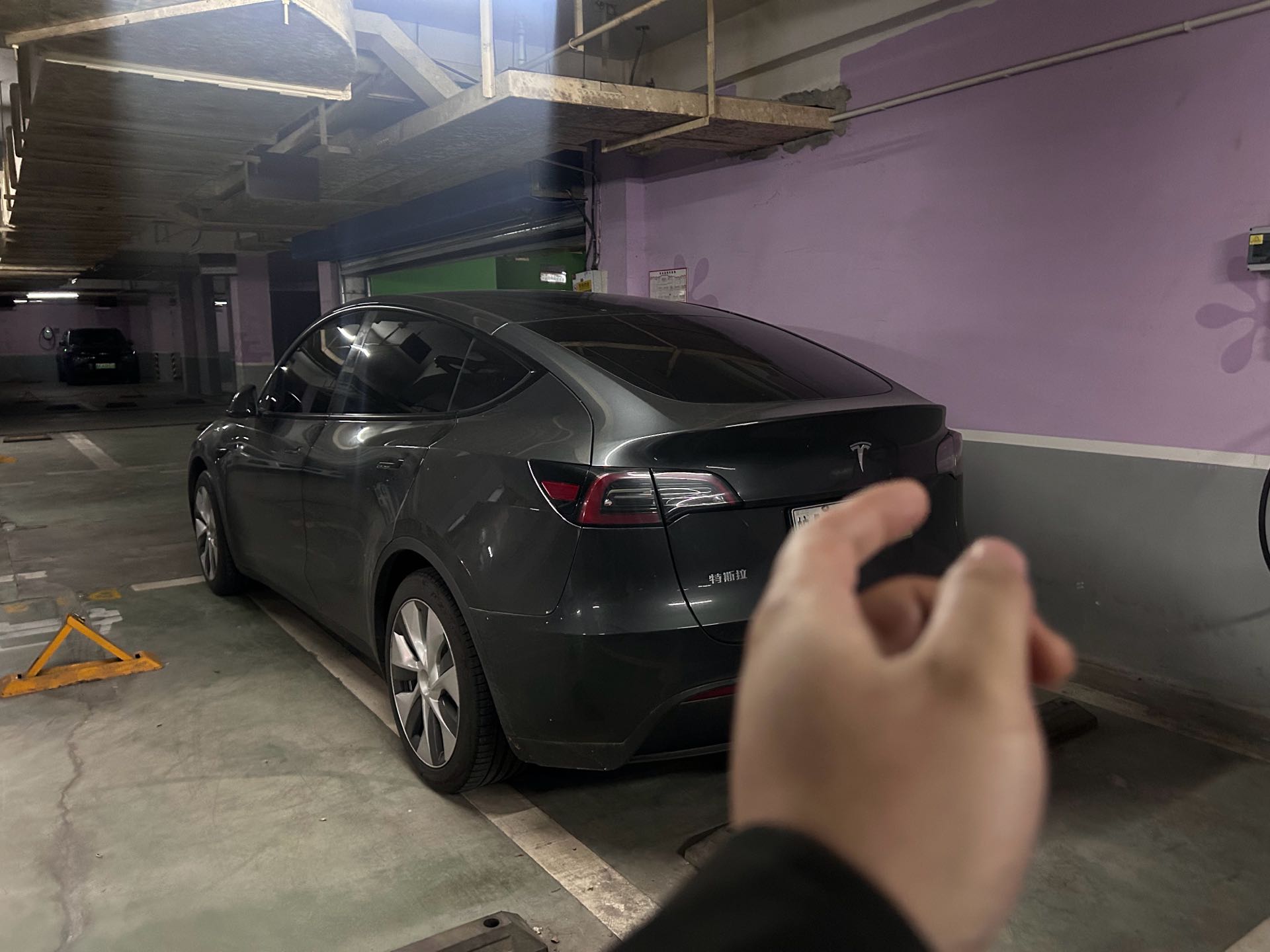 Tesla Model Y 2023 #2 Tesla Model Y 2023 car image #2