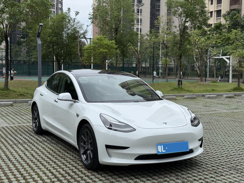Tesla Model 3 (Imported) 2019 #3 Tesla Model 3 (Imported) 2019 car image #3