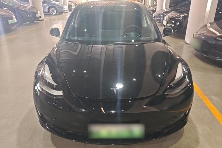 Tesla Model 3 2021 #3 Tesla Model 3 2021 car image #3