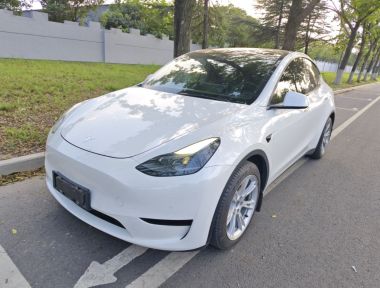 Tesla Model Y 2022 immagine di auto 