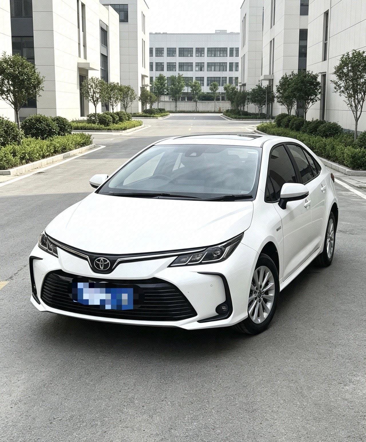 Toyota Corolla 2022 car image 