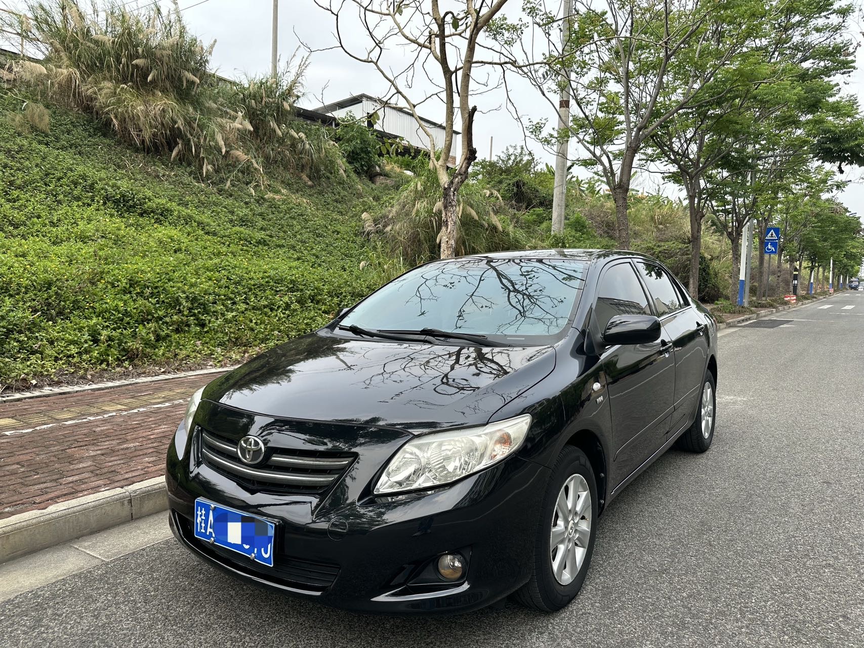 Toyota Corolla 2009 汽车图片 