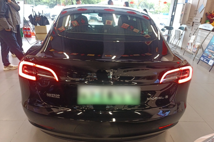 Tesla Model 3 2021 #6 Tesla Model 3 2021 car image #6