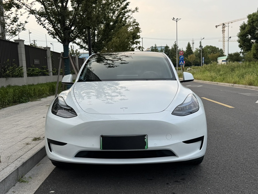 Tesla Model Y 2024 car image #2
