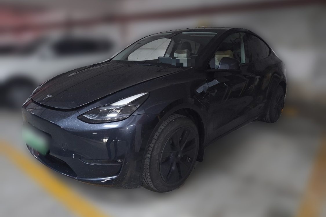 Tesla Model Y 2024 Tesla Model Y 2024 car image