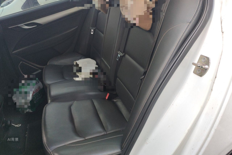 GEELY Emgrand 2019 car image #19