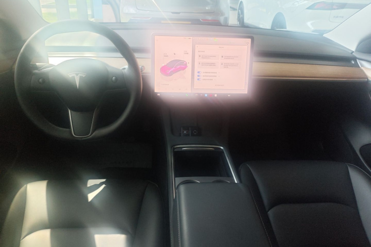 Tesla Model 3 2022 car image #10