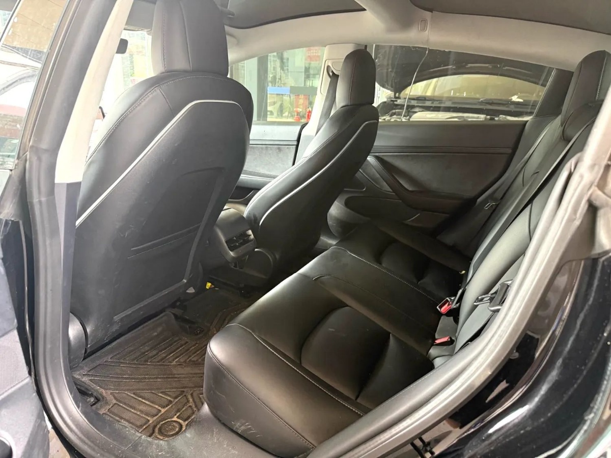 Tesla Model 3 2020 #3 Tesla Model 3 2020 car image #3