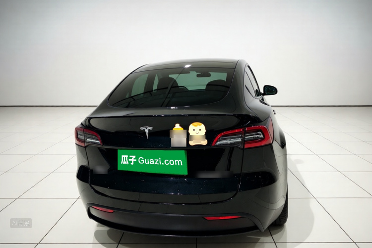 Tesla Model Y 2021 car image #6