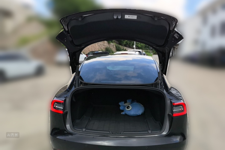 Tesla Model 3 2021 car image #21